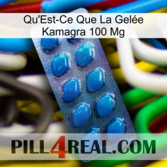 What Is Kamagra Jelly 100Mg viagra1